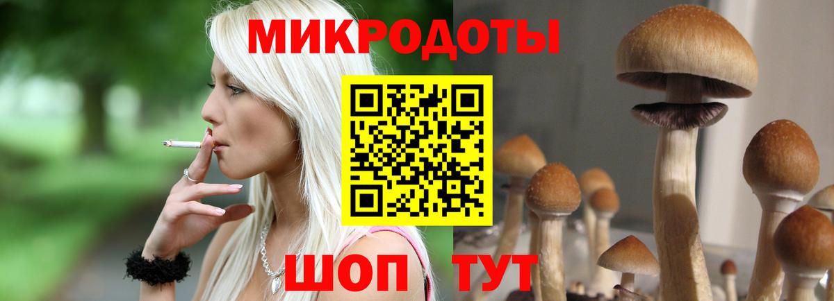 Кыштым  Галлюциногенные грибы мухоморы  Вход с VPN  Псилоцибиновые грибы Psilocybe 
